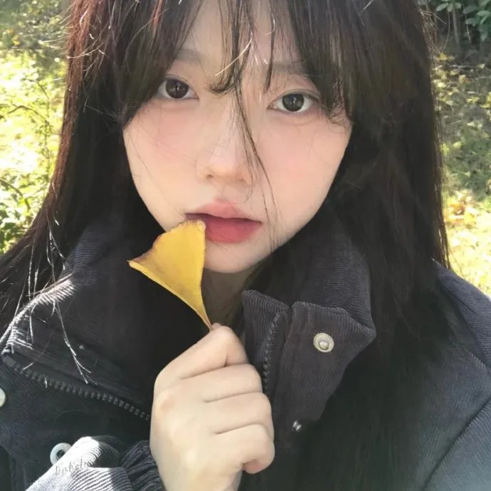 浴火之森 海报