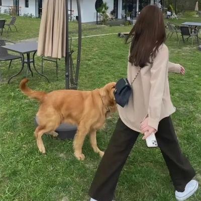 震耳欲聋 剧照 1